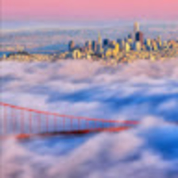 Meet your Posher, Grace - Picture 1 of 1